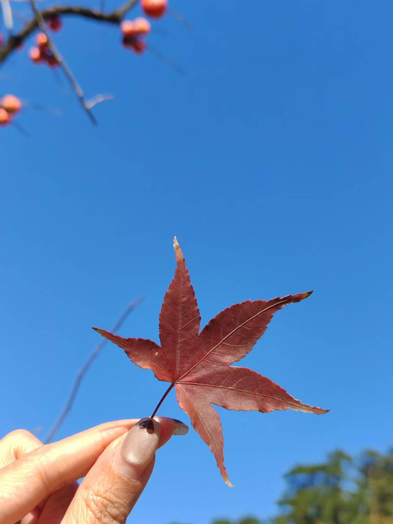 deb2260932061f1e3f0d1617ac7519e5.jpg deb2260932061f1e3f0d1617ac7519e5.jpg